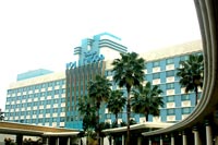 Disney Hollywood Hotel